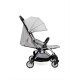 Chicco Goody