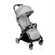 Chicco Goody