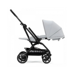 Stroller Rental